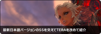 最新日本語バージョンのSSをふんだんに交えて改めて紹介