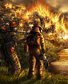 Wildfire