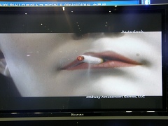 #005Υͥ/G2007ֳԡGǸäѤʤ