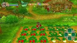 画像集#242のサムネイル/冬眠するならゲームで遊べ! メーカー推薦コンシューマゲーム大行進 2008