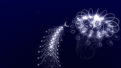 ꡼ No.034 | ǯǯϤϥѥͷܤԽΥȥҲ