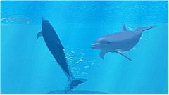 ꡼ No.105 | ǯǯϤϥѥͷܤԽΥȥҲ