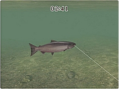 ꡼ No.120 | ǯǯϤϥѥͷܤԽΥȥҲ