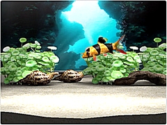 ꡼ No.215 | ǯǯϤϥѥͷܤԽΥȥҲ