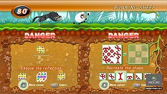 ꡼ No.497 | ǯǯϤϥѥͷܤԽΥȥҲ