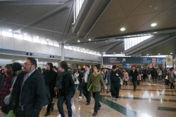 ���������꡼ No.021�Υ���ͥ������ / ��ǯ���˹Ԥ�줿�ߤ��祤�٥�ȡ֥��ߥå��ޡ����å�77�ס�����ǥ����������ब¿��ȯɽ���줿�����ܥץ���ݡ���