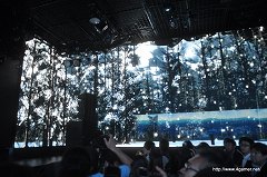 ꡼ No.034Υͥ / 饤֥ϥ֥˥ե״Ϫȯɽݡȡ̤LEDǥץ쥤СʤɺǿѤˤߤʤ׷θǽ