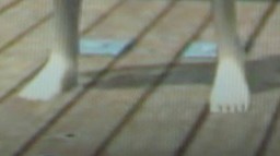 ꡼ No.032Υͥ / ϥԡɥǸڤ3D Vision 2פΥᥫ˥Ȥμ