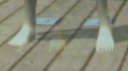 ꡼ No.033Υͥ / ϥԡɥǸڤ3D Vision 2פΥᥫ˥Ȥμ