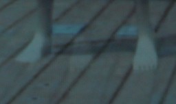 ꡼ No.048Υͥ / ϥԡɥǸڤ3D Vision 2פΥᥫ˥Ȥμ