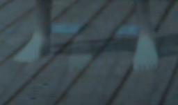 ꡼ No.049Υͥ / ϥԡɥǸڤ3D Vision 2פΥᥫ˥Ȥμ