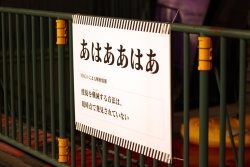 ꡼ No.022Υͥ / ʨƭΡ֥ꥢæХפץ쥤ꥢΨ鷺0.3Ρ֤̤æСפ顤æФǤ뤫