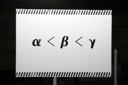 ꡼ No.029Υͥ / ʨƭΡ֥ꥢæХפץ쥤ꥢΨ鷺0.3Ρ֤̤æСפ顤æФǤ뤫