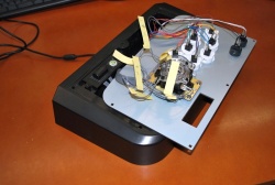 ꡼ No.008 | ɥȥ꤬Ĥ˲衩 ϷޡŻҤ߽ФŲ祤ƥåСץƥȥݡȡ󥿥ӥ塼