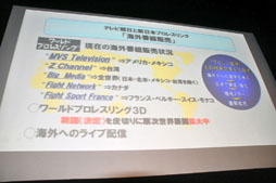 画像ギャラリー No.018のサムネイル画像 / オンライン対戦に対応したTCGが発表に。「新日本プロレスリング×ブシロード」戦略発表会レポート