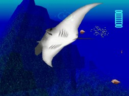 ꡼ No.020 | äˡȤܤοͤˤܤƤ褤ʡ罨׻᤬פФΰܡ֥å塦Хǥסॢ֥700˵ǰ ̥󥿥ӥ塼7