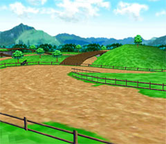 ꡼ No.008Υͥ / 3DSDLեȡ֤餯3Dо졣餯꡼β²б