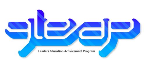 ꡼ No.001Υͥ / ޥեꥸʥ륲೫ȯƥȡ29leapפ