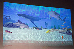 ꡼ No.051Υͥ / NHN JapanץåȥեॵӥLINE Channelפȯɽ7ܤˡLINE Gameפǥॢץۿ