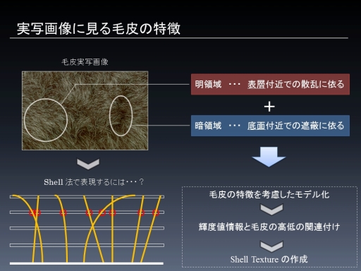꡼ No.010Υͥ / CEDEC 2012ɽѥץƥˡϥեե̴򸫤뤫ּ¼̲ѤShell Textureưˡ
