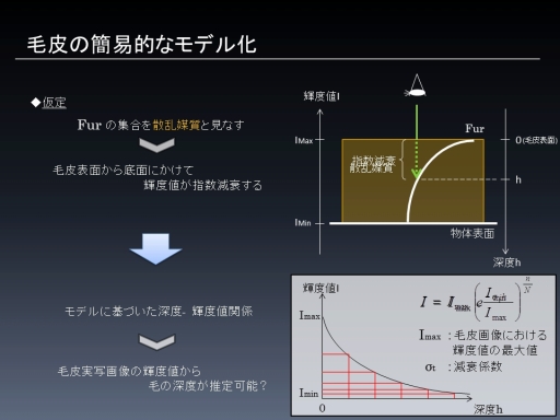 ꡼ No.011Υͥ / CEDEC 2012ɽѥץƥˡϥեե̴򸫤뤫ּ¼̲ѤShell Textureưˡ