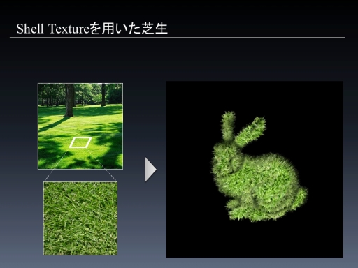 ꡼ No.017Υͥ / CEDEC 2012ɽѥץƥˡϥեե̴򸫤뤫ּ¼̲ѤShell Textureưˡ