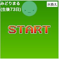 ꡼ No.006 | ೫ȯƥ29leap̤ȯɽͥޤ5