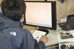 ꡼ No.016Υͥ / ʸͺᡤһ餬äƱ֥ͥࡦɥפŸǥκŵƥॷ祦פݡ