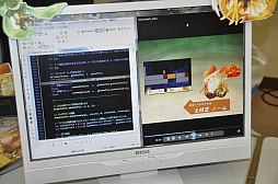 ꡼ No.021Υͥ / ʸͺᡤһ餬äƱ֥ͥࡦɥפŸǥκŵƥॷ祦פݡ