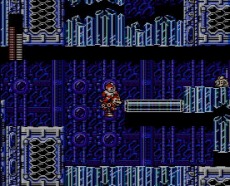 ꡼ No.010Υͥ / ֥åޥ5 ֥롼!ס3DSΥС륳󥽡ۿ