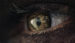 ꡼ No.002Υͥ / SCEA16äΤûƥGame Day 2013 Teaserפܺ٤ϥꥫϻ֤21ȯɽͽ