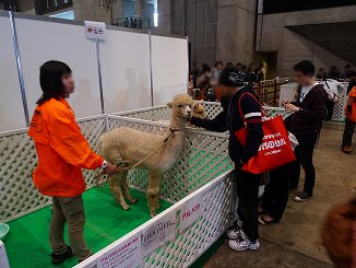 ꡼ No.031 | Ķ2Ϸ˽鷺ʸ׵ʬǳڤ롤˥˥Ķ2δ֡եȥݡ