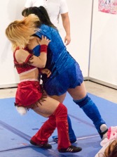 ꡼ No.011Υͥ / 4GamerDDTץ쥹ॷ祦2015ϡλޤ