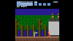 飛龍の拳 コレクション