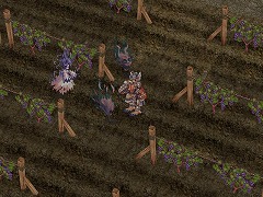 #007Υͥ/ROס̾ʤפХåڡ