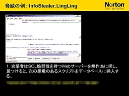 画像集#018のサムネイル/2009年版は「パフォーマンスに影響が出ないソフト」に。セキュリティソフト大手シマンテック,ゲームにフィーチャーしたセミナー開催