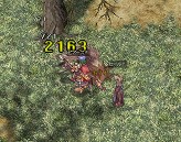 ������#003�Υ���ͥ���/�����ƥ�����Υ���󥹡�����RO�ץ����ƥ�ɥ��å�Ψ��1.5�ܤ�