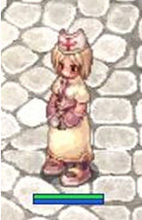 ������#002�Υ���ͥ���/��RO�ס�̵�����ɸ���ν鿴�Ը������٥�Ȥ򳫺�