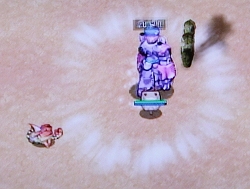 画像集#014のサムネイル/ベストプラットフォームは携帯電話へ?「RO ファン感謝祭 2009」で,ガンホー/エイタロウソフトにオンラインゲームの可能性を聞く