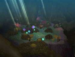 ���������꡼ No.003�Υ���ͥ������ / �����������֥��å��塦�Х��塼��פء���RO�׺ǿ����åץǡ��ȡ�Episode8.1��into the unknown�ڥ����ɥ饷��ۡ�11����ܼ»ܤ�����