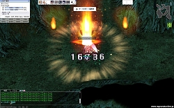 ꡼ No.013 | ץ쥤䡼ȿϰä֥饰ʥ饤ץܥ塼ץȤܼ󥿥ӥ塼Ǻ