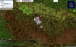 ꡼ No.014 | ץ쥤䡼ȿϰä֥饰ʥ饤ץܥ塼ץȤܼ󥿥ӥ塼Ǻ