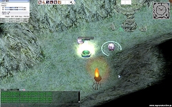 ꡼ No.021 | ץ쥤䡼ȿϰä֥饰ʥ饤ץܥ塼ץȤܼ󥿥ӥ塼Ǻ