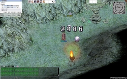 ꡼ No.023 | ץ쥤䡼ȿϰä֥饰ʥ饤ץܥ塼ץȤܼ󥿥ӥ塼Ǻ