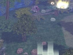 ���������꡼ No.002�Υ���ͥ������ / ��RO�פ��ü�ʥ�󥹥������о졣ƤȲ�������̤ηи��ͤ�������褦