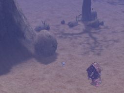 ���������꡼ No.004�Υ���ͥ������ / ��RO�פ��ü�ʥ�󥹥������о졣ƤȲ�������̤ηи��ͤ�������褦