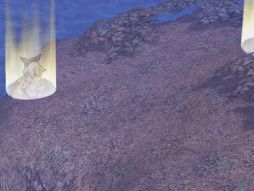 ���������꡼ No.005�Υ���ͥ������ / ��RO�פ��ü�ʥ�󥹥������о졣ƤȲ�������̤ηи��ͤ�������褦