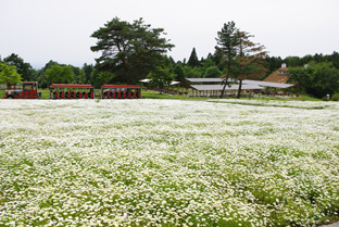 ꡼ No.018 | ֥饰ʥ饤פ10ǯǰ٥Ȥ䥢åץǡȤʤɡ2012ǯȾλܺʹƤ3ƥȤϤ褤9˥