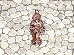 ���������꡼ No.005�Υ���ͥ������ / ��RO�ס����ϥ��åפ�ơ��ޤȤ����֥饰��2012 December�פ�11��15��ȯ��