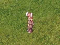 ���������꡼ No.006�Υ���ͥ������ / �֥饰�ʥ�������饤��ץ����ӥ�����10��ǯ��ǰ����̵�����ɡ�Breidablik�פ�19��00�����ץ󡣥�����ȥ�������������18��00���ۿ�����